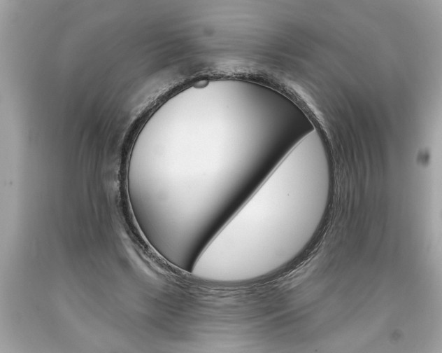 X0000094170443200710260912