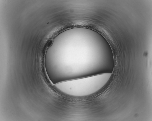 X0000094170444200710260912