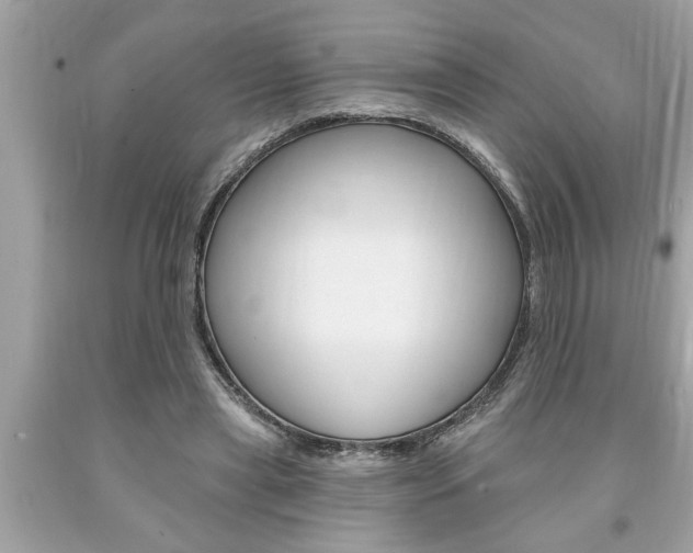 X0000094170445200710260912