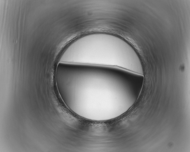 X0000094170446200710260912