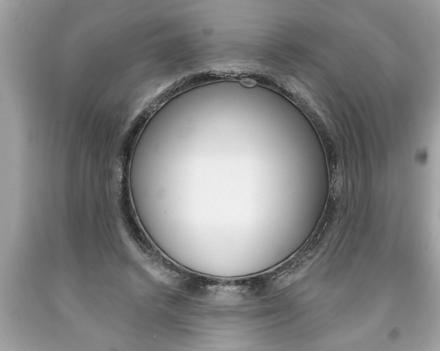 X0000094170448200710260912