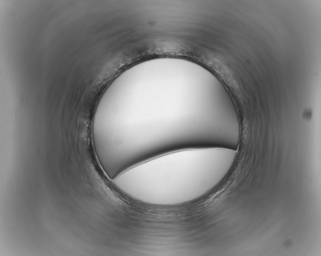 X0000094170449200710260912