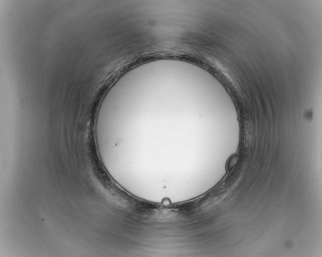 X0000094170451200710260913