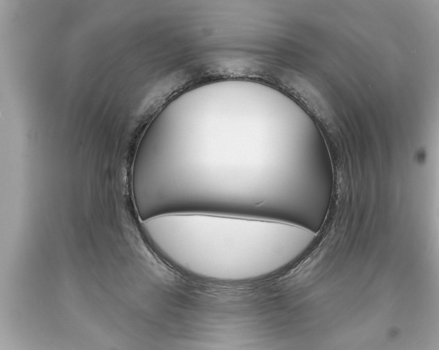 X0000094170453200710260913