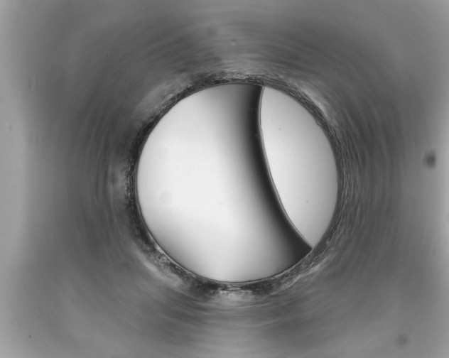 X0000094170455200710260913
