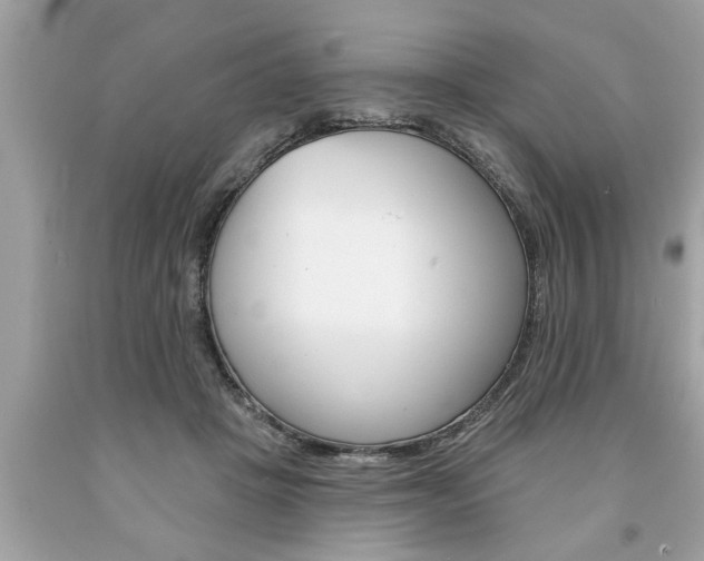 X0000094170457200710260913
