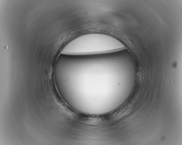 X0000094170458200710260913