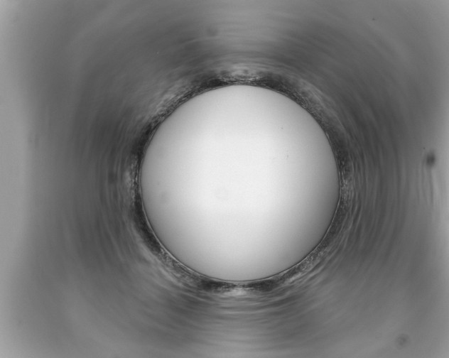 X0000094170460200710260913