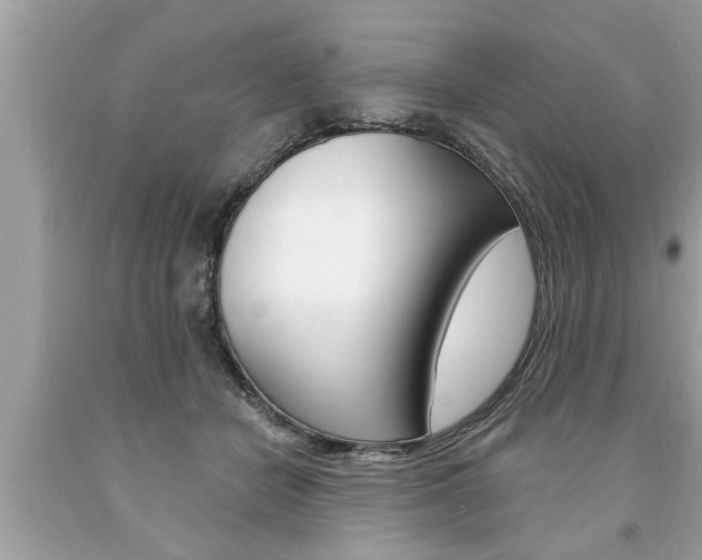 X0000094170462200710260913