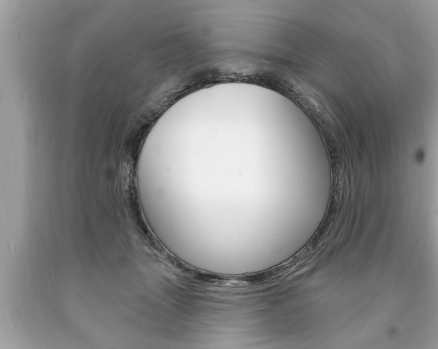 X0000094170463200710260913