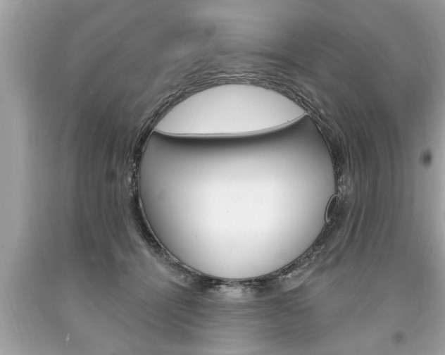 X0000094170464200710260913
