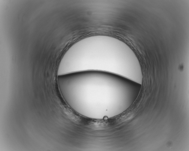 X0000094170466200710260913