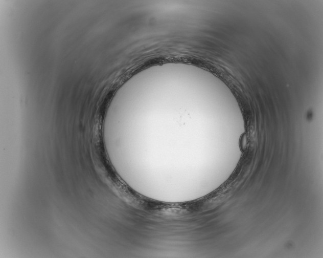 X0000094170468200710260913