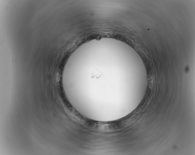 X0000094170472200710260913