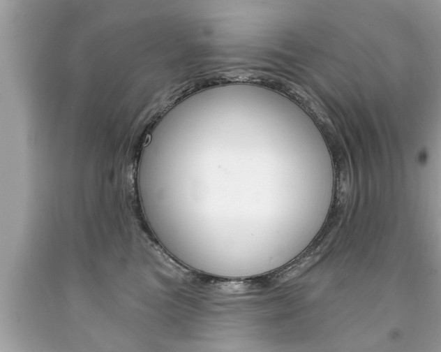 X0000094170473200710260913
