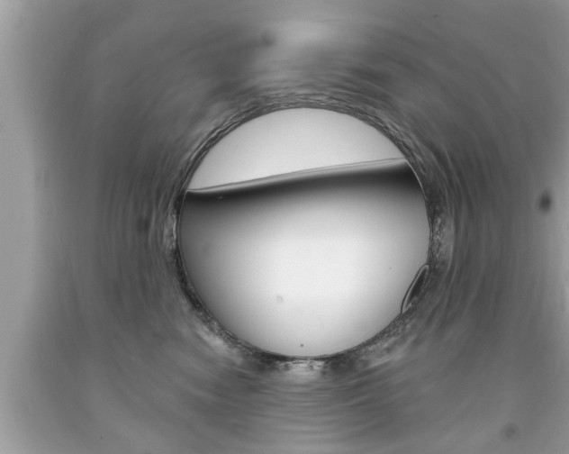 X0000094170474200710260913