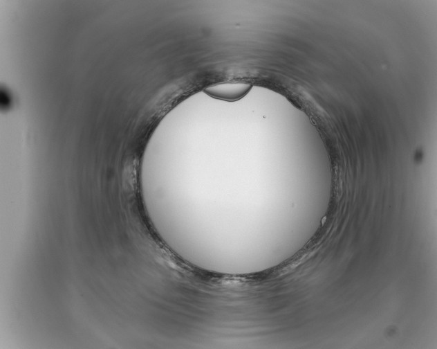 X0000094170475200710260913