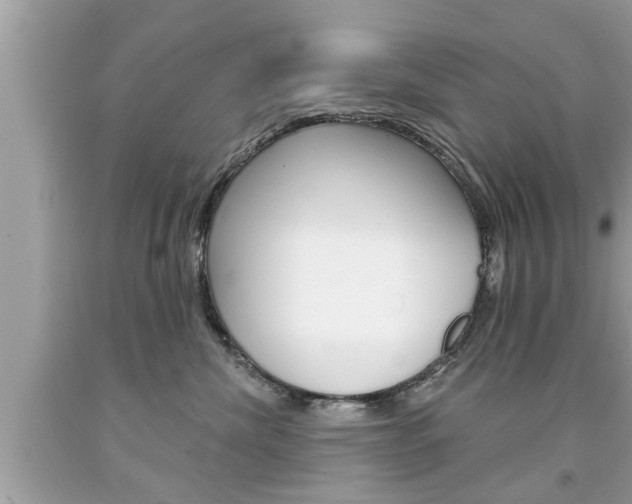 X0000094170476200710260913