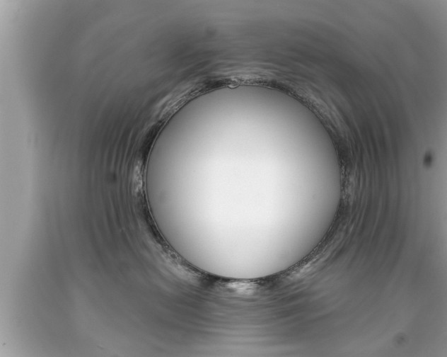 X0000094170478200710260913