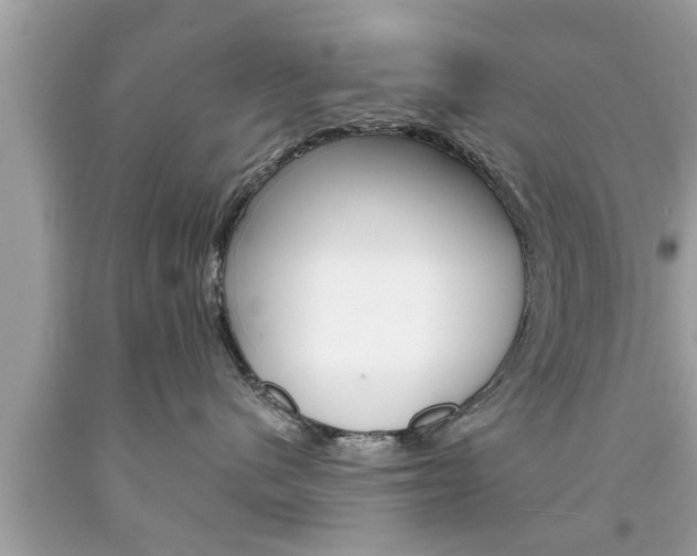 X0000094170480200710260913