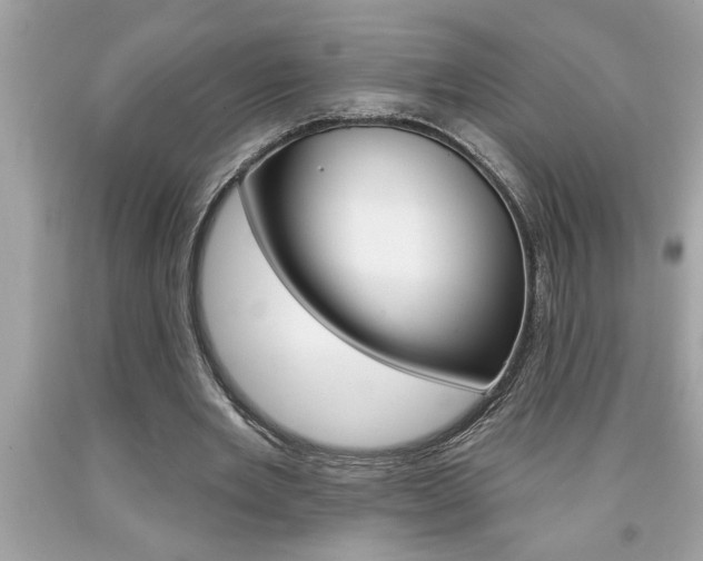 X0000094170485200710260912