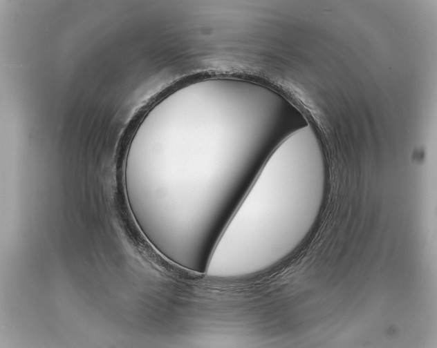 X0000094170488200710260912