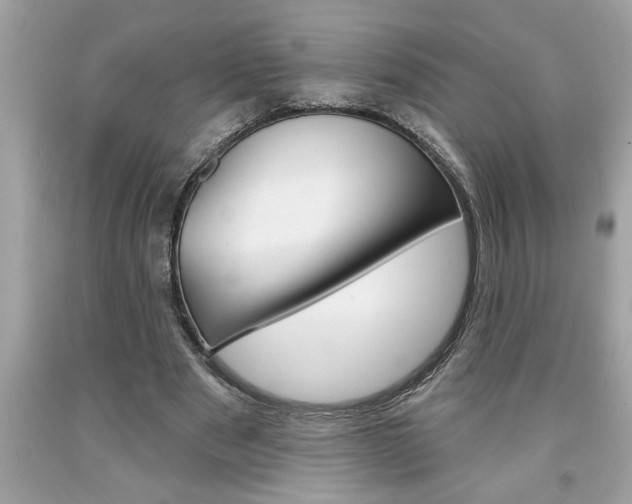 X0000094170489200710260912