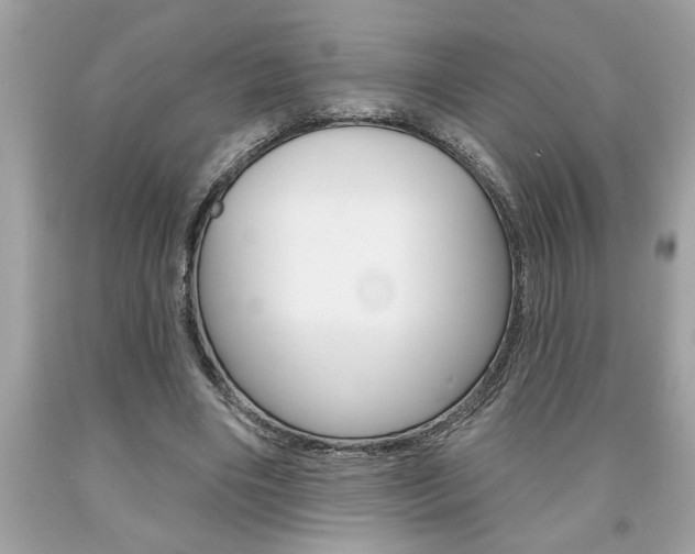 X0000094170490200710260912