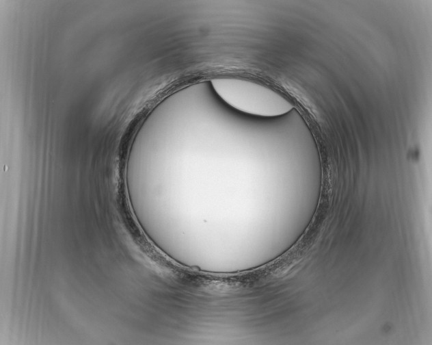 X0000094170494200710260912