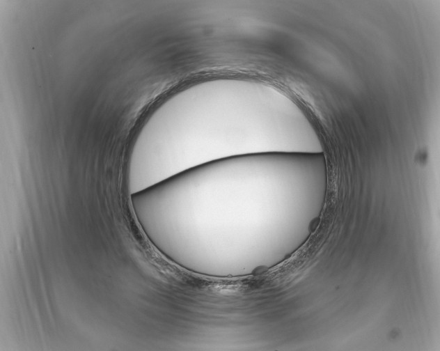 X0000094170495200710260912