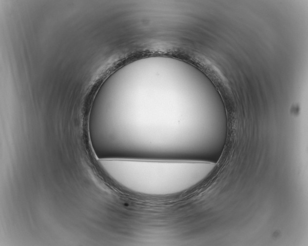 X0000094170496200710260912