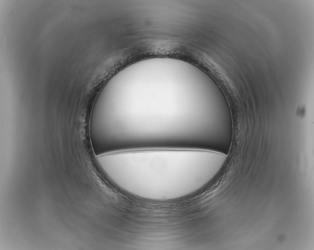 X0000094170497200710260912