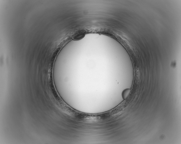 X0000094170499200710260912