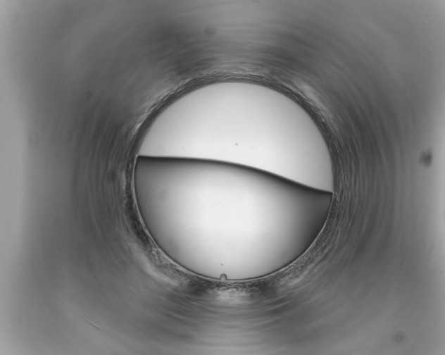 X0000094170500200710260912