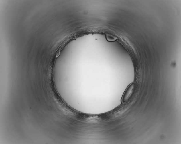 X0000094170505200710260912