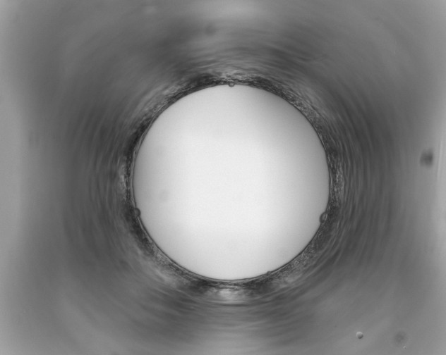 X0000094170506200710260912