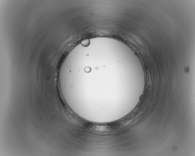 X0000094170507200710260912