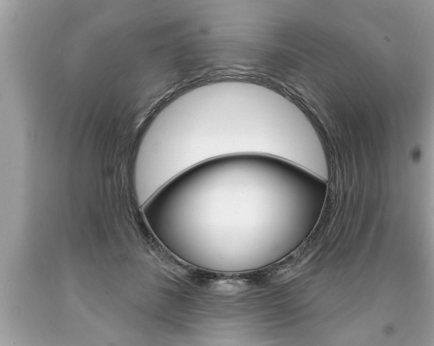 X0000094170508200710260912