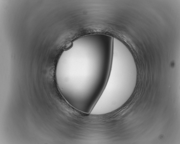 X0000094170509200710260912