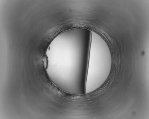 X0000094170513200710260912