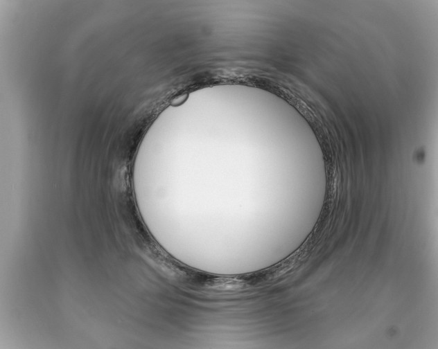 X0000094170514200710260912