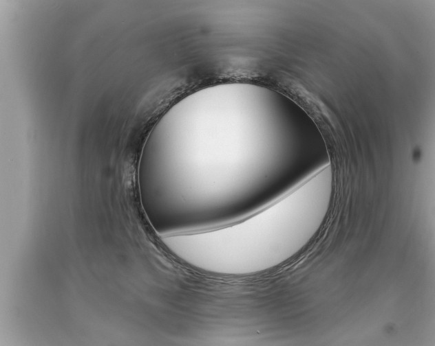 X0000094170517200710260912