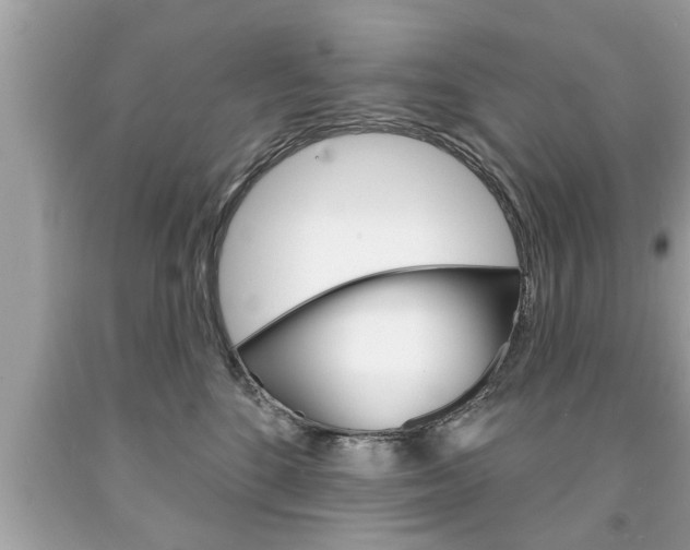 X0000094170520200710260912