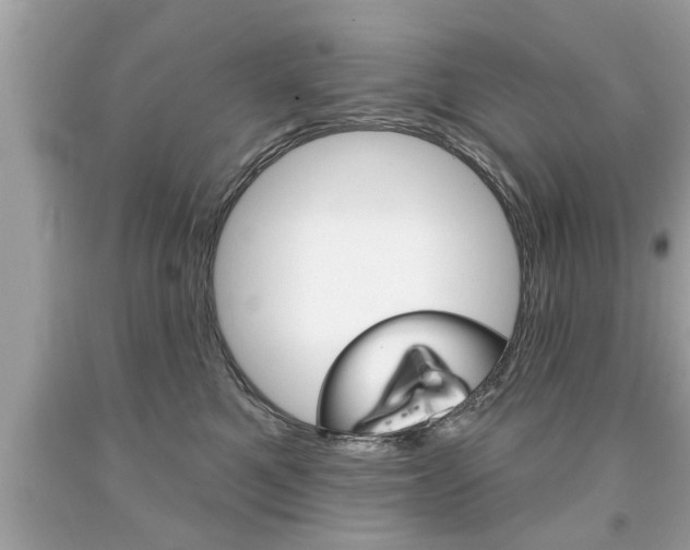 X0000094170521200710260912