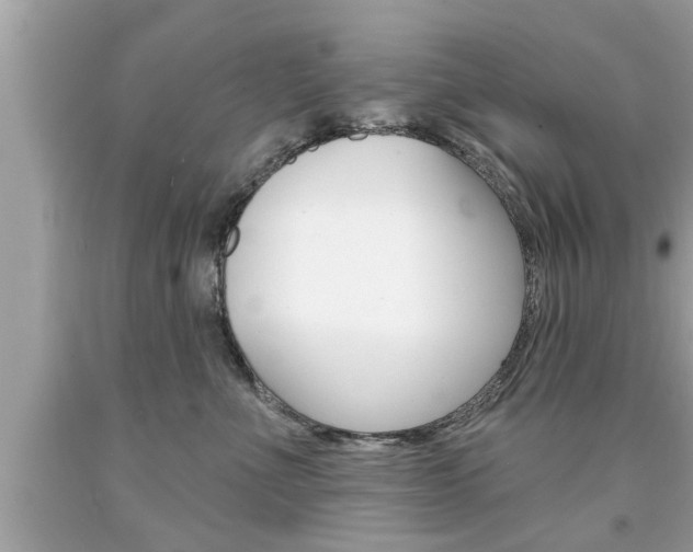 X0000094170523200710260912