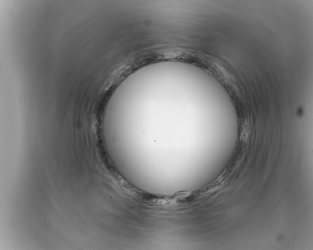 X0000094170524200710260912