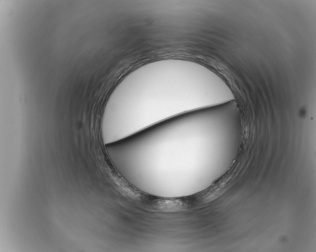 X0000094170525200710260912
