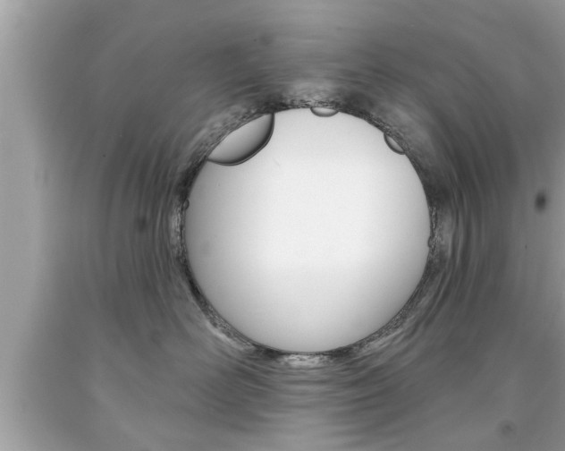 X0000094170526200710260912