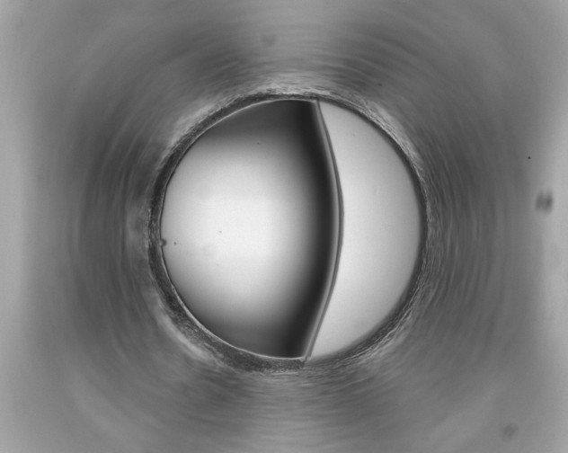 X0000094170530200710260911