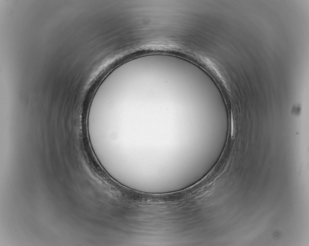 X0000094170531200710260911